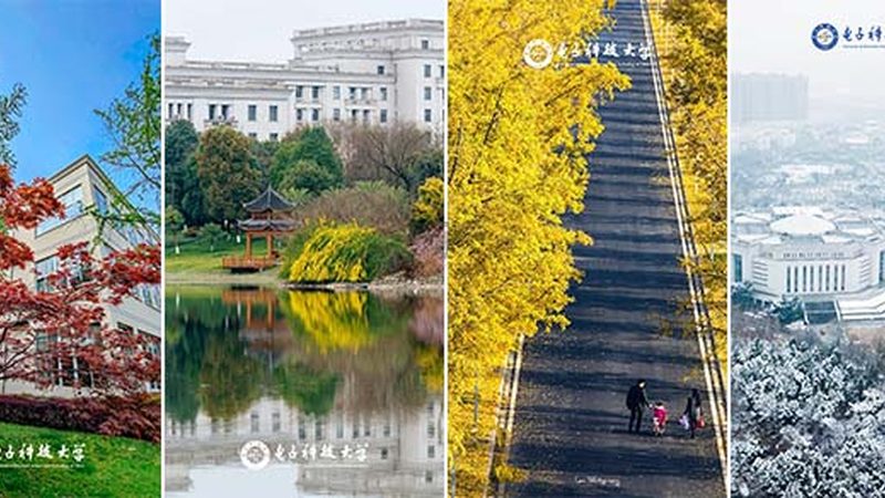 电子科技公司经营范围分类详解